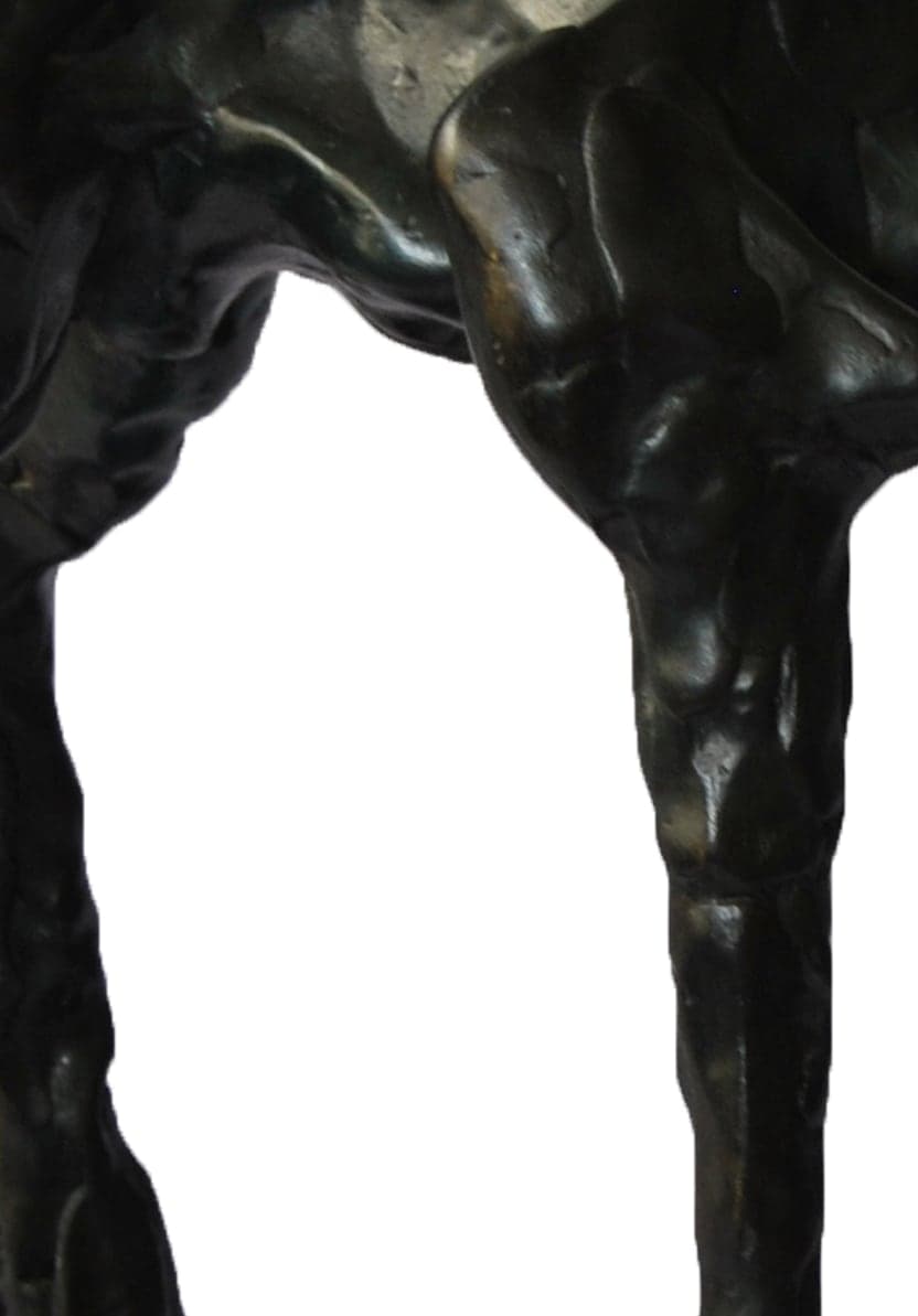 Detalle de textura de «Sin título»