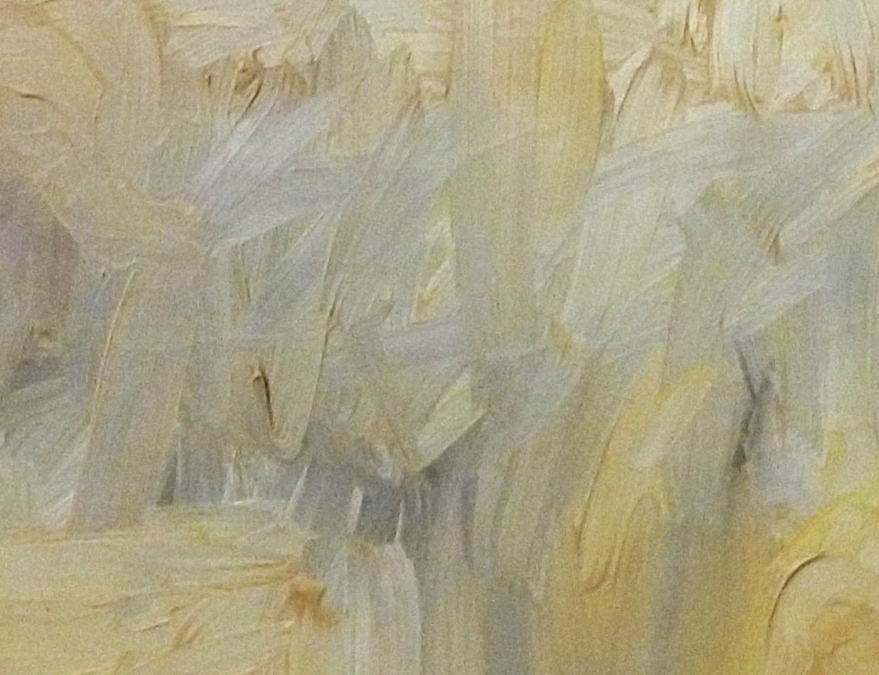 Detalle de textura de «Caballo blanco»