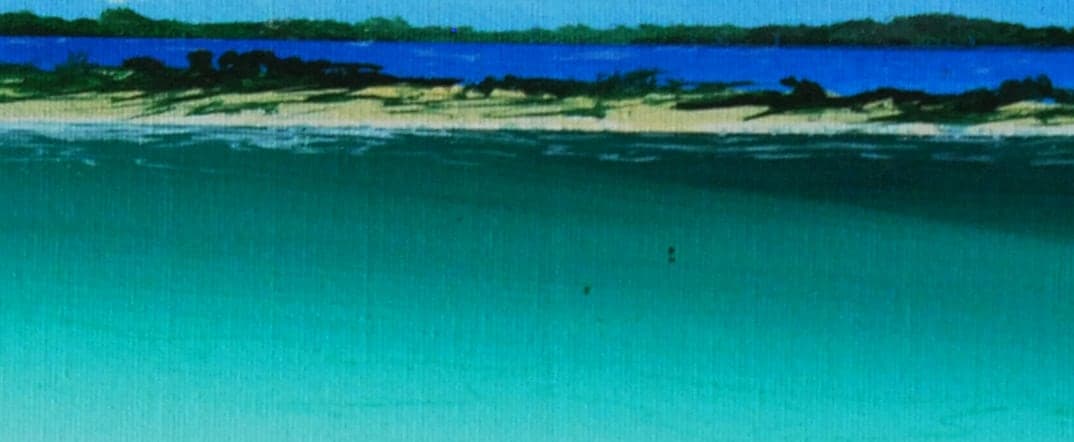 Detalle de textura de «Sin título»