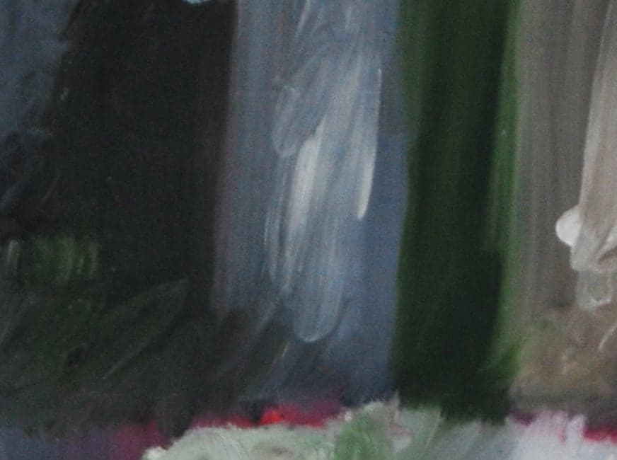 Detalle de textura de «Cascada y caballo»