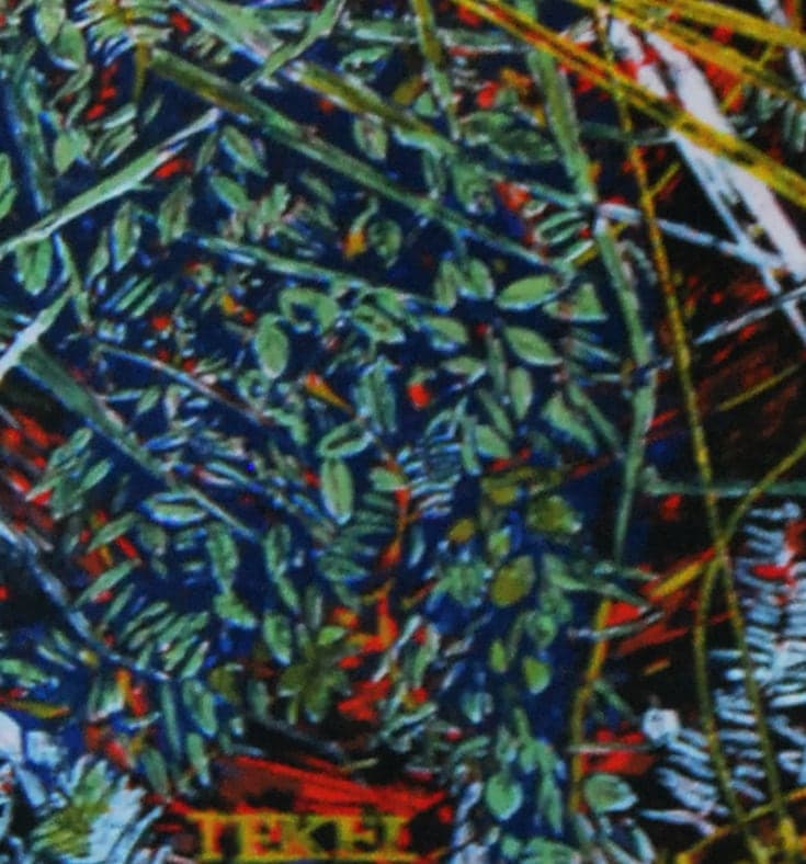 Detalle de textura de «Sin título»
